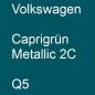 Preview: Volkswagen, Caprigrün Metallic 2C, Q5.